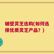 破壁灵芝选购(如何选择优质灵芝产品？)