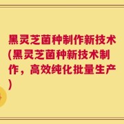黑灵芝菌种制作新技术(黑灵芝菌种新技术制作，高效纯化批量生产)