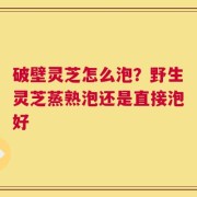 破壁灵芝怎么泡？野生灵芝蒸熟泡还是直接泡好