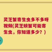 灵芝蟹寄生虫多不多呀视频(灵芝螃蟹可能寄生虫，你知道多少？)
