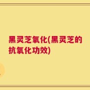 黑灵芝氧化(黑灵芝的抗氧化功效)