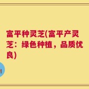 富平种灵芝(富平产灵芝：绿色种植，品质优良)