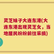 灵芝妹子大连东港(大连东港出现灵芝女，当地居民纷纷前往采摘)