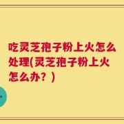 吃灵芝孢子粉上火怎么处理(灵芝孢子粉上火怎么办？)