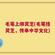 毛笔上绑灵芝(毛笔挂灵芝，传承中华文化)