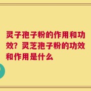 灵子孢子粉的作用和功效？灵芝孢子粉的功效和作用是什么