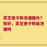 灵芝孢子粉泡酒图片？你好，灵芝孢子粉能泡酒吗