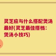 灵芝应与什么搭配煲汤最好(灵芝最佳搭档：煲汤小技巧)