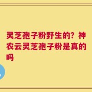 灵芝孢子粉野生的？神农云灵芝孢子粉是真的吗