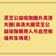 灵芝公益瑜伽图片高清大图(高清大图灵芝公益瑜伽展现人与自然和谐共生场景)