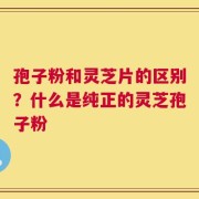 孢子粉和灵芝片的区别？什么是纯正的灵芝孢子粉