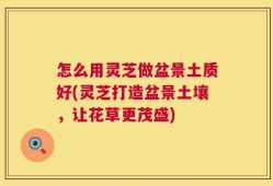 怎么用灵芝做盆景土质好(灵芝打造盆景土壤，让花草更茂盛)