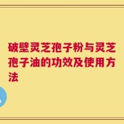 破壁灵芝孢子粉与灵芝孢子油的功效及使用方法