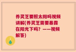 养灵芝要照太阳吗视频讲解(养灵芝需要暴露在阳光下吗？——视频解答)