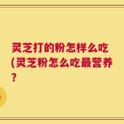 灵芝打的粉怎样么吃 (灵芝粉怎么吃最营养？