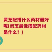 灵芝配搭什么药材最好呢(灵芝最佳搭配药材是什么？)