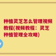 种植灵芝怎么管理视频教程(视频教程：灵芝种植管理全攻略)