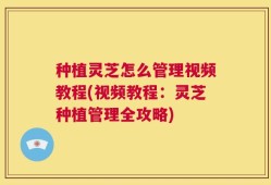 种植灵芝怎么管理视频教程(视频教程：灵芝种植管理全攻略)