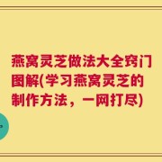 燕窝灵芝做法大全窍门图解(学习燕窝灵芝的制作方法，一网打尽)