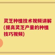 灵芝种植技术视频讲解(提高灵芝产量的种植技巧视频)