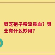 灵芝孢子粉流鼻血？灵芝有什么妙用？