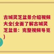 古城灵芝盆景介绍视频大全(全面了解古城灵芝盆景：完整视频导览)