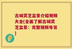 古城灵芝盆景介绍视频大全(全面了解古城灵芝盆景：完整视频导览)