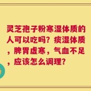 灵芝孢子粉寒湿体质的人可以吃吗？痰湿体质，脾胃虚寒，气血不足，应该怎么调理？