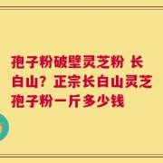 孢子粉破壁灵芝粉 长白山？正宗长白山灵芝孢子粉一斤多少钱