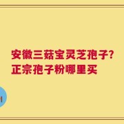 安徽三菇宝灵芝孢子？正宗孢子粉哪里买