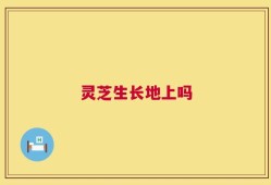 灵芝生长地上吗