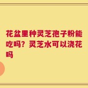 花盆里种灵芝孢子粉能吃吗？灵芝水可以浇花吗