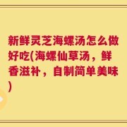 新鲜灵芝海螺汤怎么做好吃(海螺仙草汤，鲜香滋补，自制简单美味)
