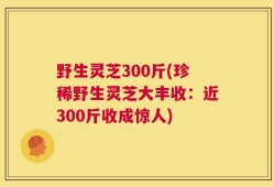 野生灵芝300斤(珍稀野生灵芝大丰收：近300斤收成惊人)