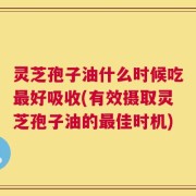 灵芝孢子油什么时候吃最好吸收(有效摄取灵芝孢子油的最佳时机)