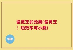 紫灵芝的效果(紫灵芝：功效不可小觑)