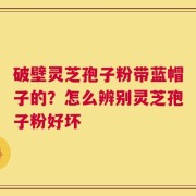 破壁灵芝孢子粉带蓝帽子的？怎么辨别灵芝孢子粉好坏