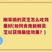 刚采摘的灵芝怎么吃效果好(如何食用新鲜灵芝以获得最佳效果？)