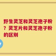 野生灵芝和灵芝孢子粉？灵芝片和灵芝孢子粉的区别