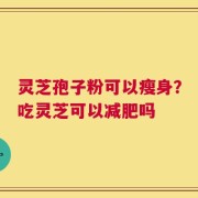 灵芝孢子粉可以瘦身？吃灵芝可以减肥吗