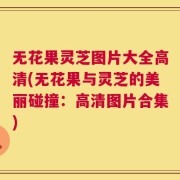 无花果灵芝图片大全高清(无花果与灵芝的美丽碰撞：高清图片合集)