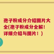 孢子粉成分介绍图片大全(孢子粉成分全解！详细介绍与图片！)