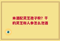 米酒配灵芝孢子粉？干的灵芝和人参怎么泡酒