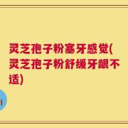 灵芝孢子粉塞牙感觉(灵芝孢子粉舒缓牙龈不适)