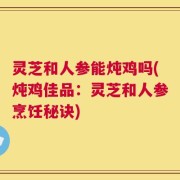 灵芝和人参能炖鸡吗(炖鸡佳品：灵芝和人参烹饪秘诀)