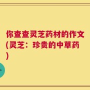 你查查灵芝药材的作文(灵芝：珍贵的中草药)