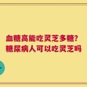 血糖高能吃灵芝多糖？糖尿病人可以吃灵芝吗
