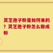 灵芝孢子粉是如何来的？灵芝孢子粉怎么做成粉
