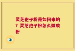 灵芝孢子粉是如何来的？灵芝孢子粉怎么做成粉