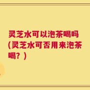 灵芝水可以泡茶喝吗 (灵芝水可否用来泡茶喝？)
